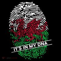 Welsh Flag Its In My Dna Cool Gift Women's Hoodie thumb 2