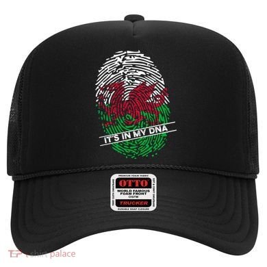 Welsh Flag Its In My Dna Cool Gift Hat