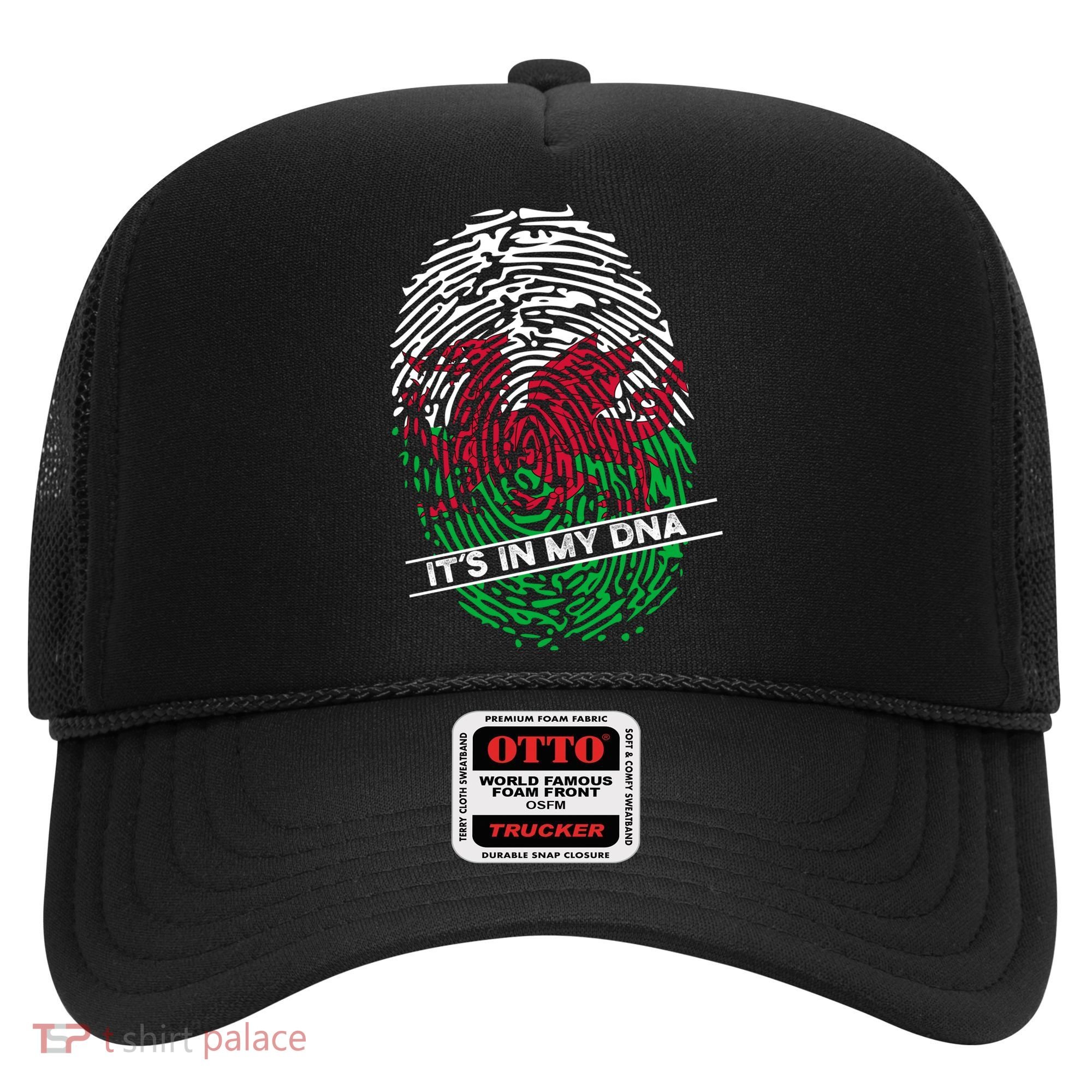 Welsh Flag Its In My Dna Cool Gift Hat