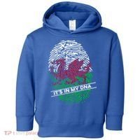 Welsh Flag Its In My Dna Cool Gift Toddler Hoodie thumb 0