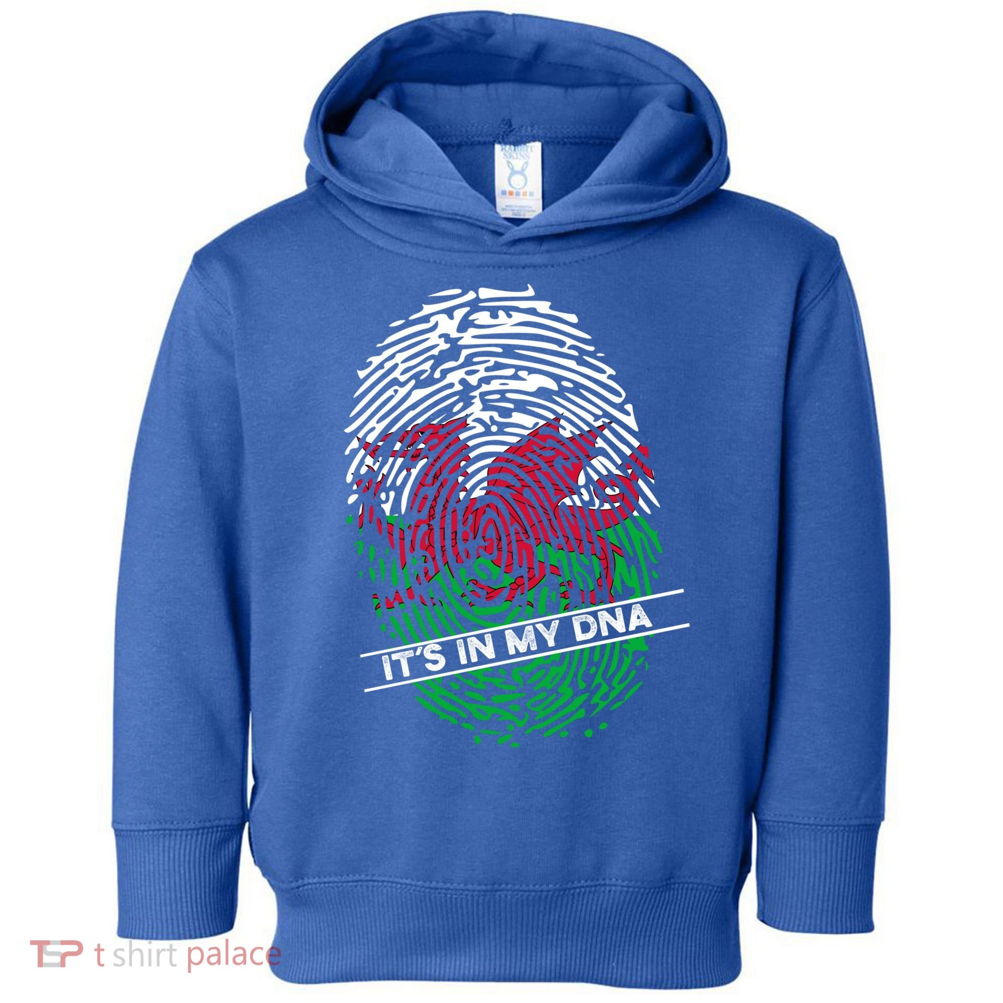 Welsh Flag Its In My Dna Cool Gift Toddler Hoodie