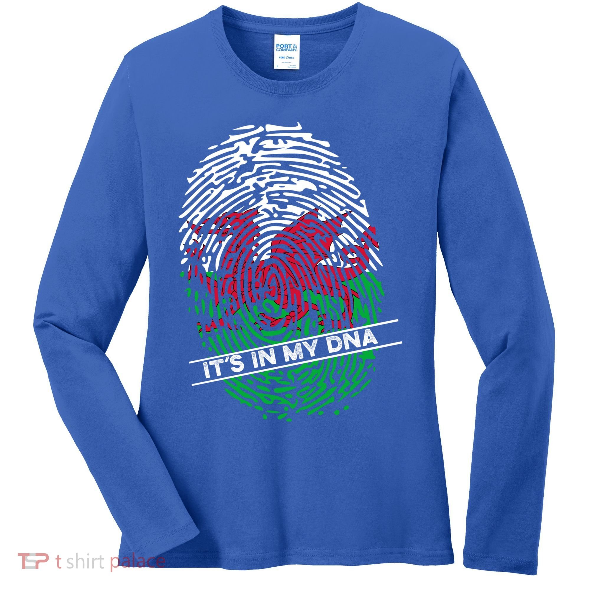 Welsh Flag Its In My Dna Cool Gift Women's Long Sleeve Shirt