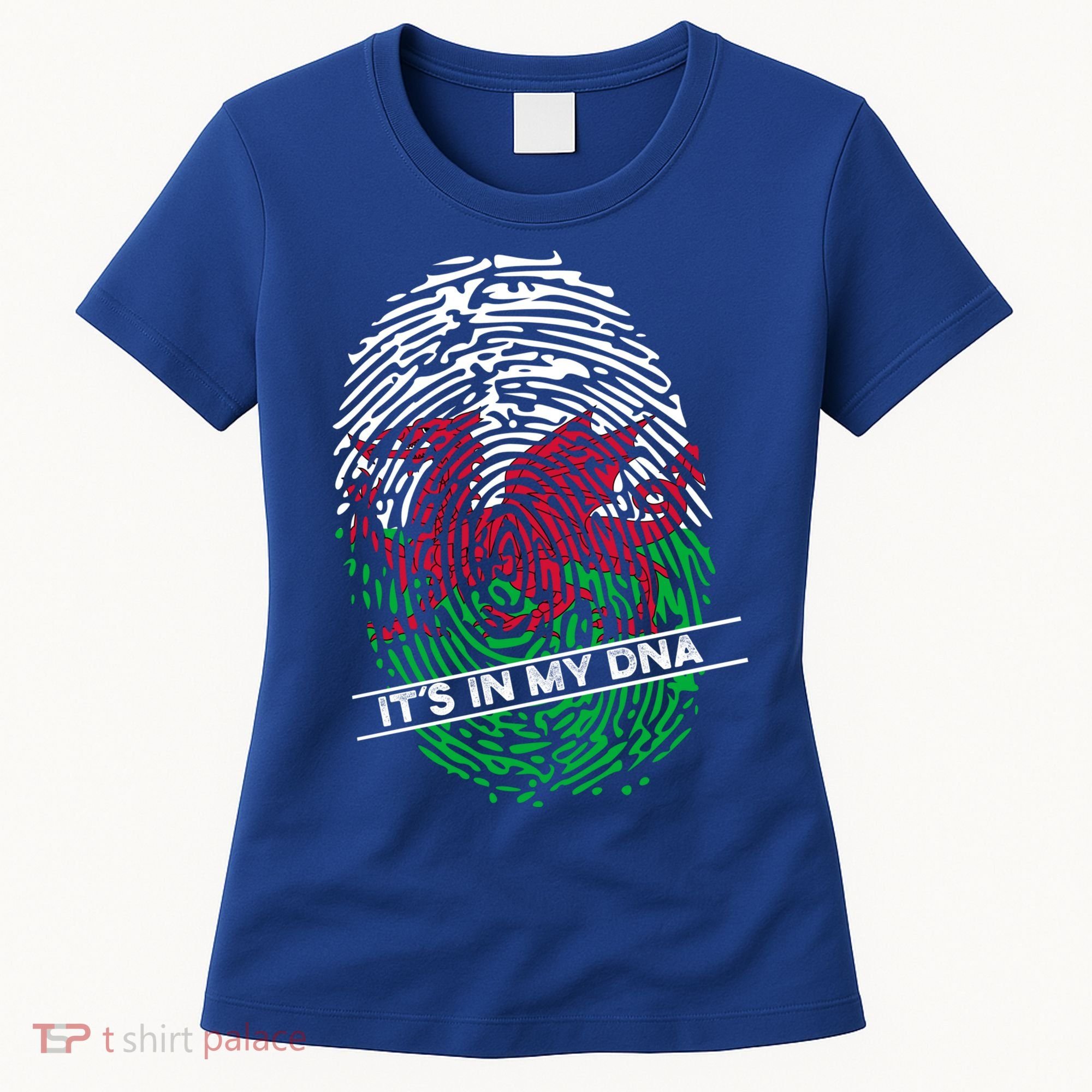 Welsh Flag Its In My Dna Cool Gift Women's T-Shirt