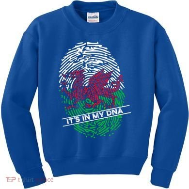 Welsh Flag Its In My Dna Cool Gift Kids Sweatshirt