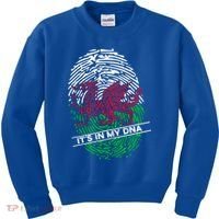 Welsh Flag Its In My Dna Cool Gift Kids Sweatshirt thumb 0