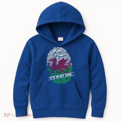 Welsh Flag Its In My Dna Cool Gift Kids Hoodie