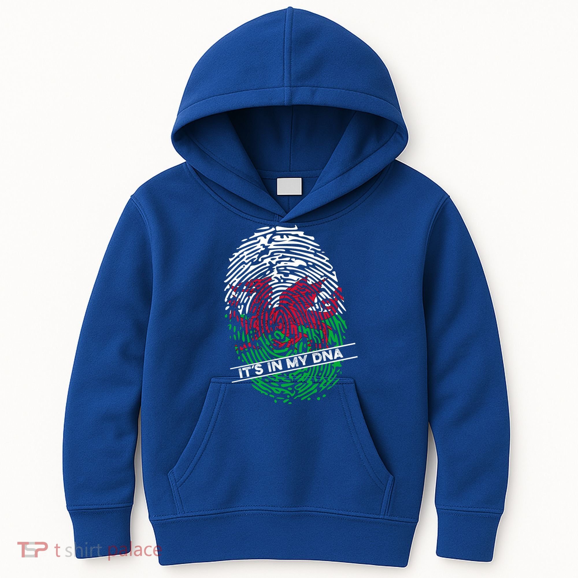 Welsh Flag Its In My Dna Cool Gift Kids Hoodie
