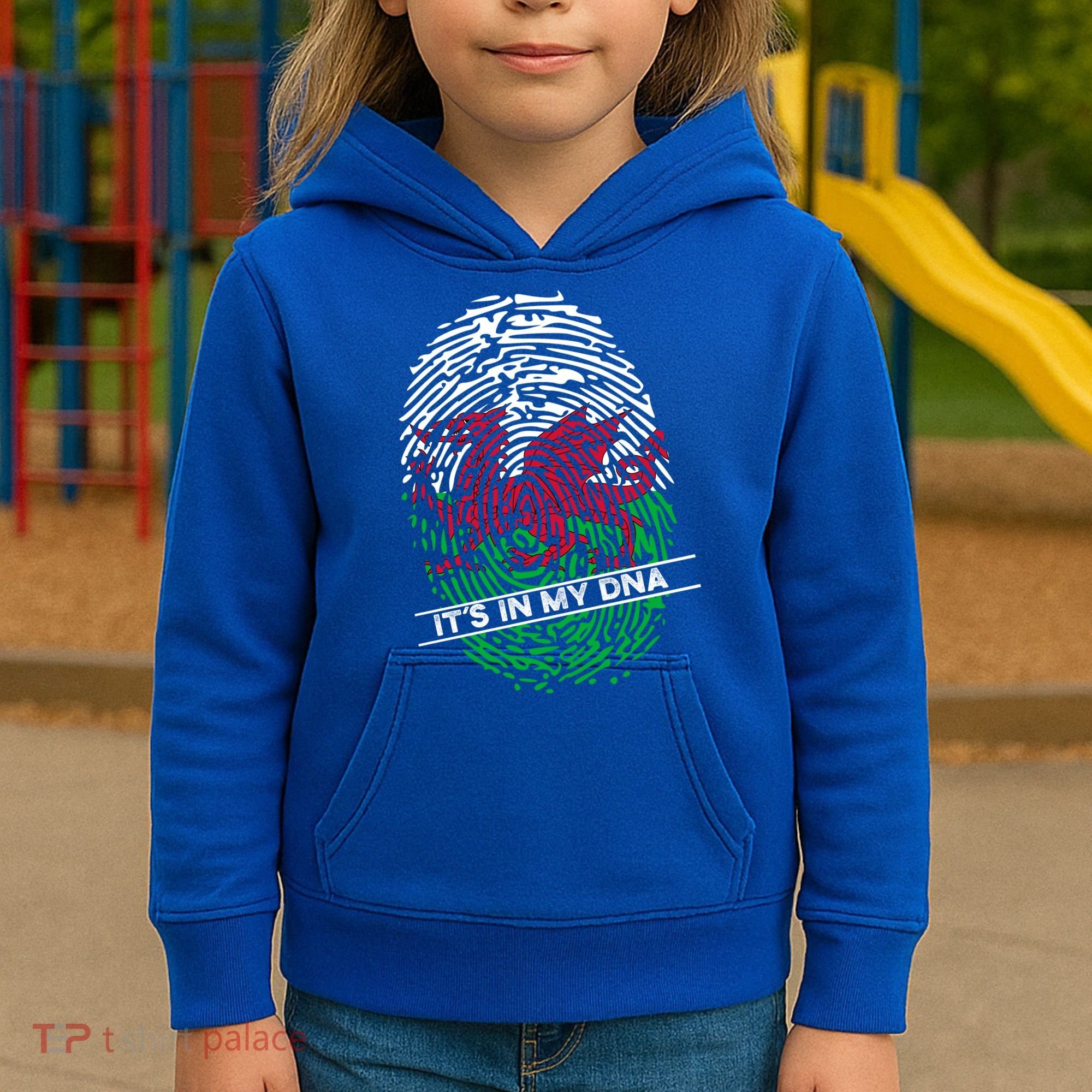 Welsh Flag Its In My Dna Cool Gift Kids Hoodie