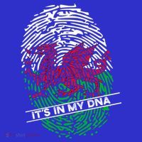 Welsh Flag Its In My Dna Cool Gift Kids Hoodie thumb 5