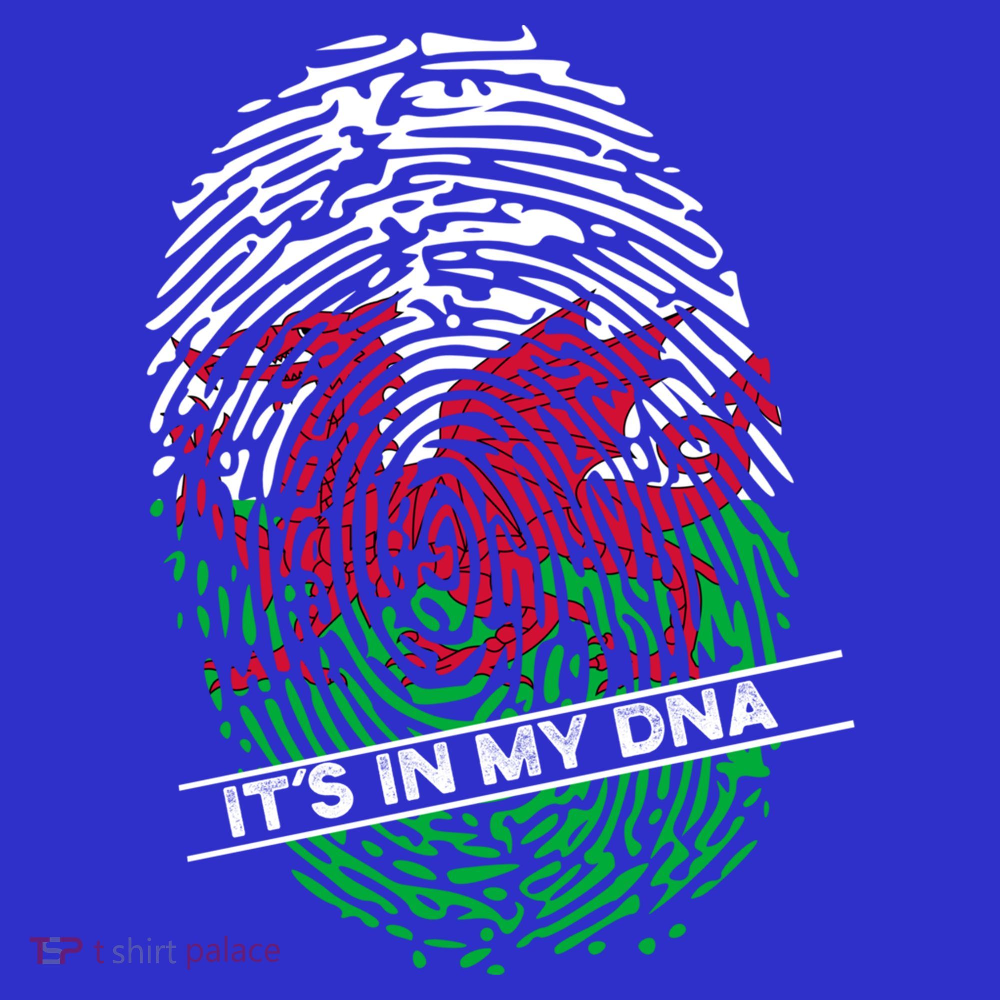 Welsh Flag Its In My Dna Cool Gift Kids Long Sleeve Shirt