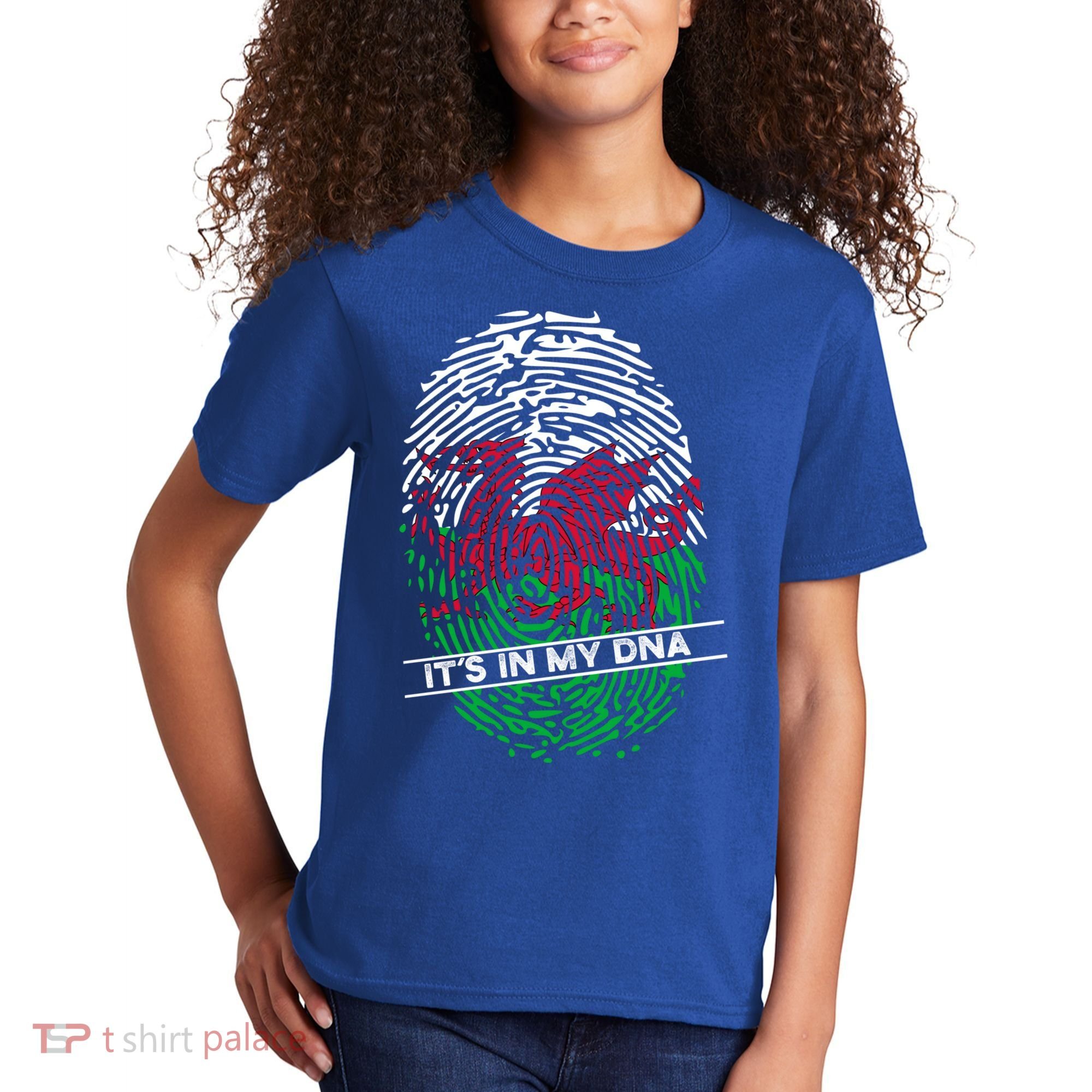 Welsh Flag Its In My Dna Cool Gift Kids T-Shirt