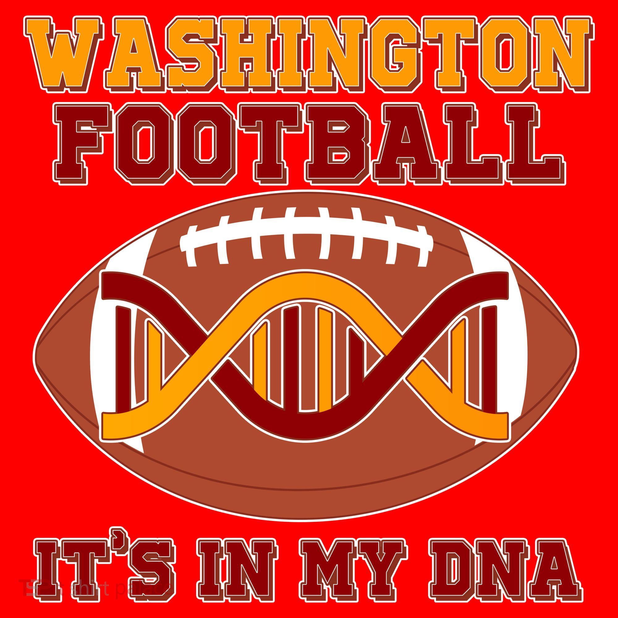 Washington Football It's In My DNA Santa Hat