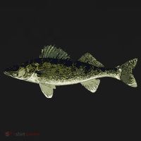 Walleye Fish Pickerel Fishing Lover Fisherman Apron thumb 3