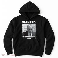 Wanted For President 2024 Trump Mugshot Hoodie thumb 0