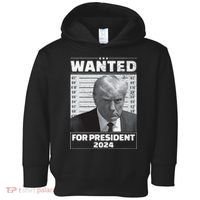 Wanted For President 2024 Trump Mugshot Toddler Hoodie thumb 0