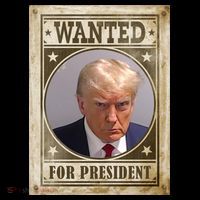 Wanted For President Funny Donald Trump Mugshot Coffee Mug thumb 5