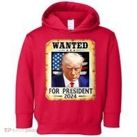 Wanted For President 2024 Donald Trump Toddler Hoodie thumb 0