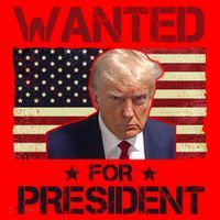 Wanted For President Donald Trump American Flag Santa Hat thumb 1