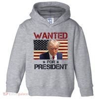 Wanted For President Donald Trump American Flag Toddler Hoodie thumb 0