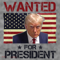 Wanted For President Donald Trump American Flag Toddler Hoodie thumb 2