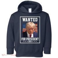 Wanted For President 2024 USA Donald Trump Toddler Hoodie thumb 0