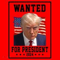 Wanted For President 2024 USA Donald Trump Santa Hat thumb 1