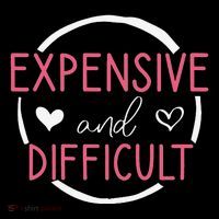 Wo Funny Saying Expensive and Difficult Cute Heart Women's Hoodie thumb 2
