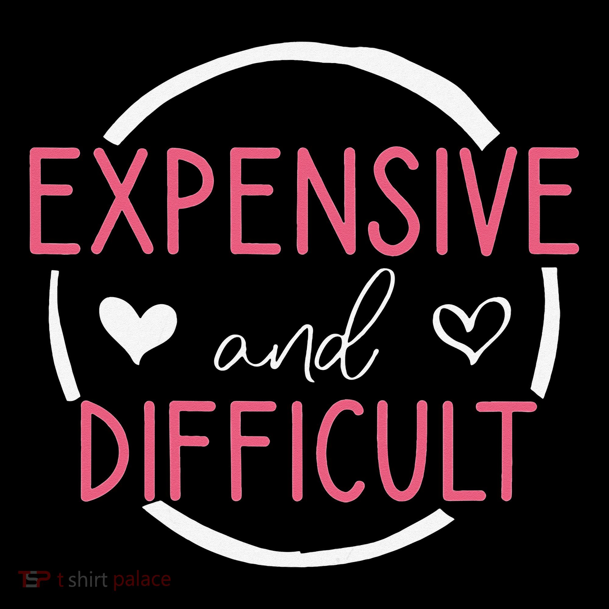 Wo Funny Saying Expensive and Difficult Cute Heart Toddler Hoodie
