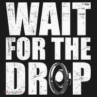 Wait For The Drop I Dubstep Bass Subwoofer Dance Music Mousepad thumb 1
