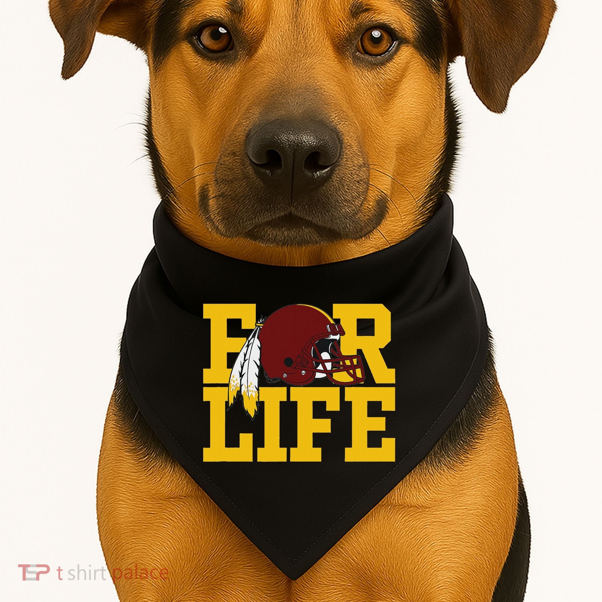 Washington Feather USA-Made Doggie Bandana