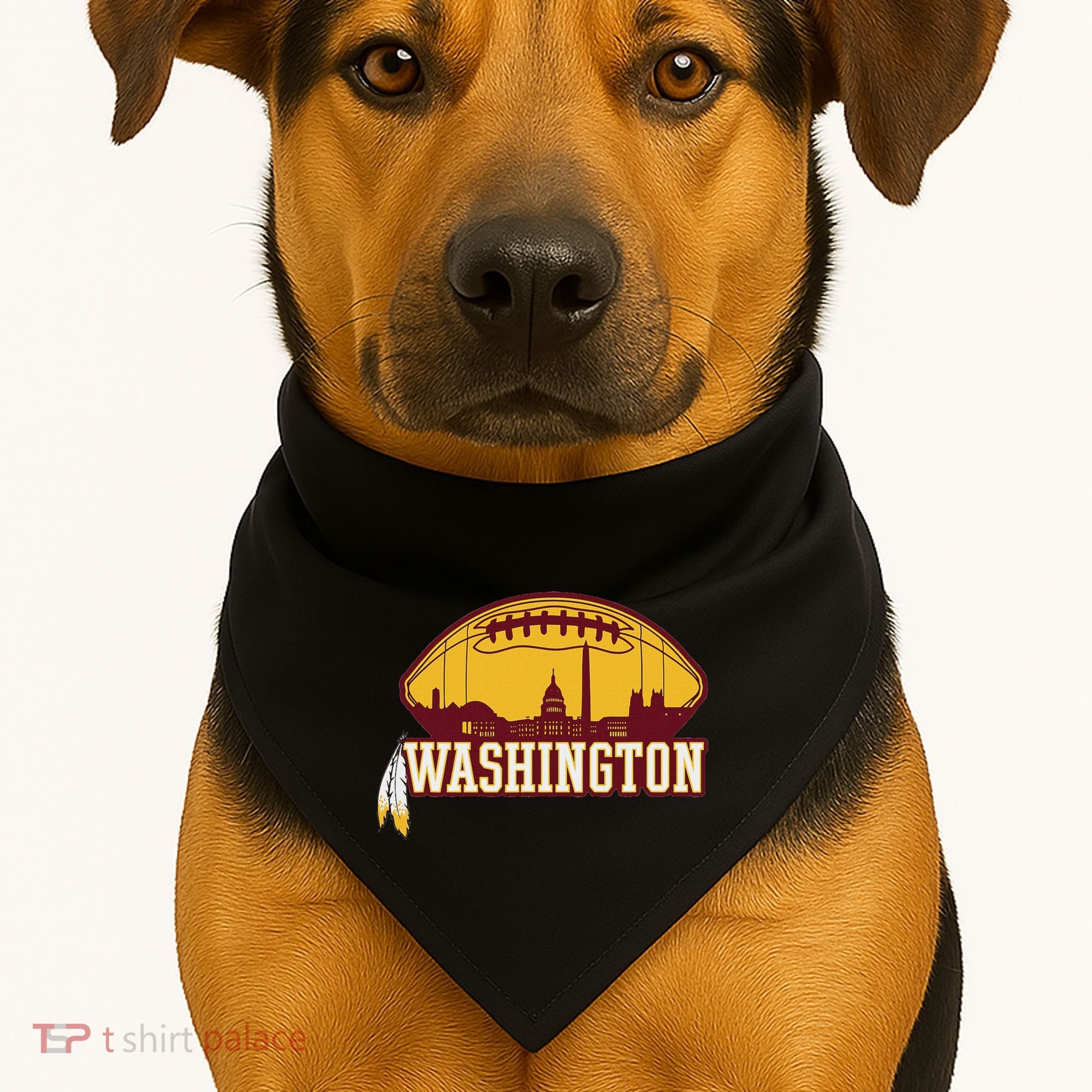 Washington Feather USA-Made Doggie Bandana