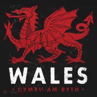 Wales Flag Welsh Dragon Baner Cymru Am Byth Welsh Gift Bucket Hat thumb 4