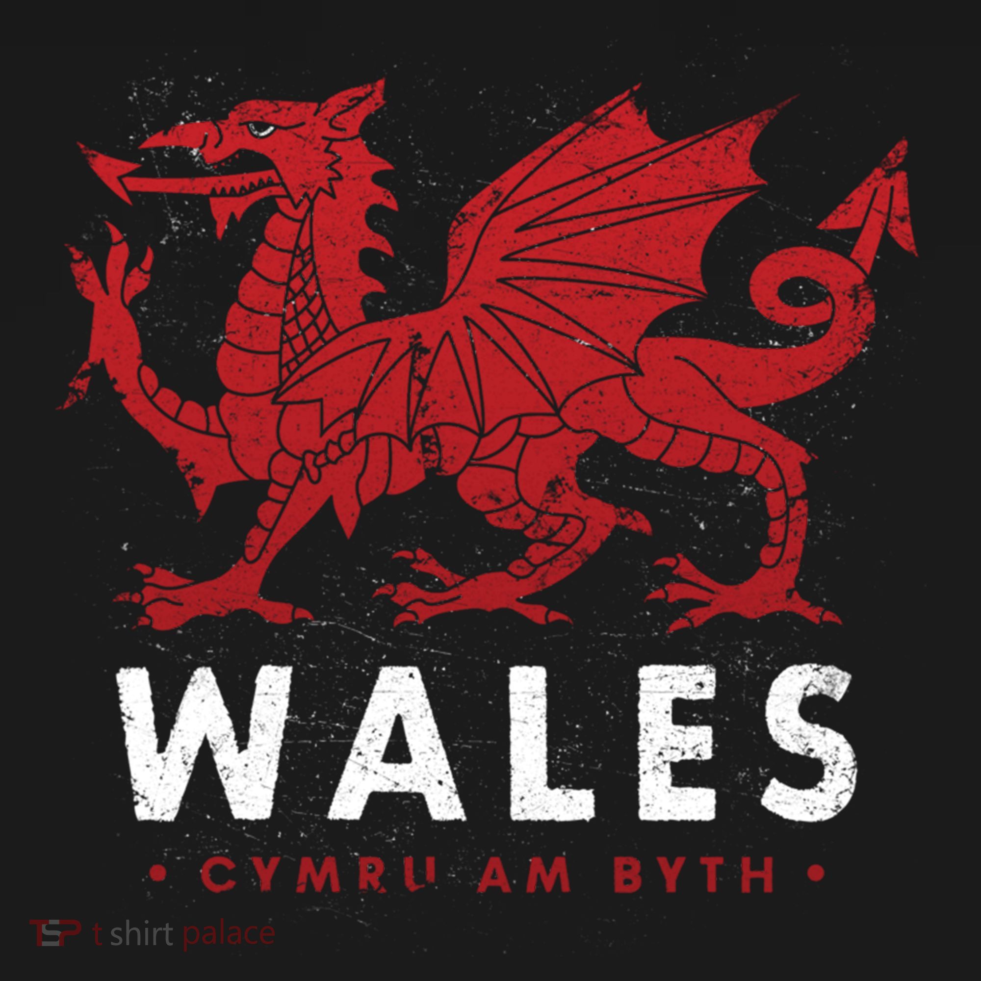 Wales Flag Welsh Dragon Baner Cymru Am Byth Welsh Gift Women's Hoodie