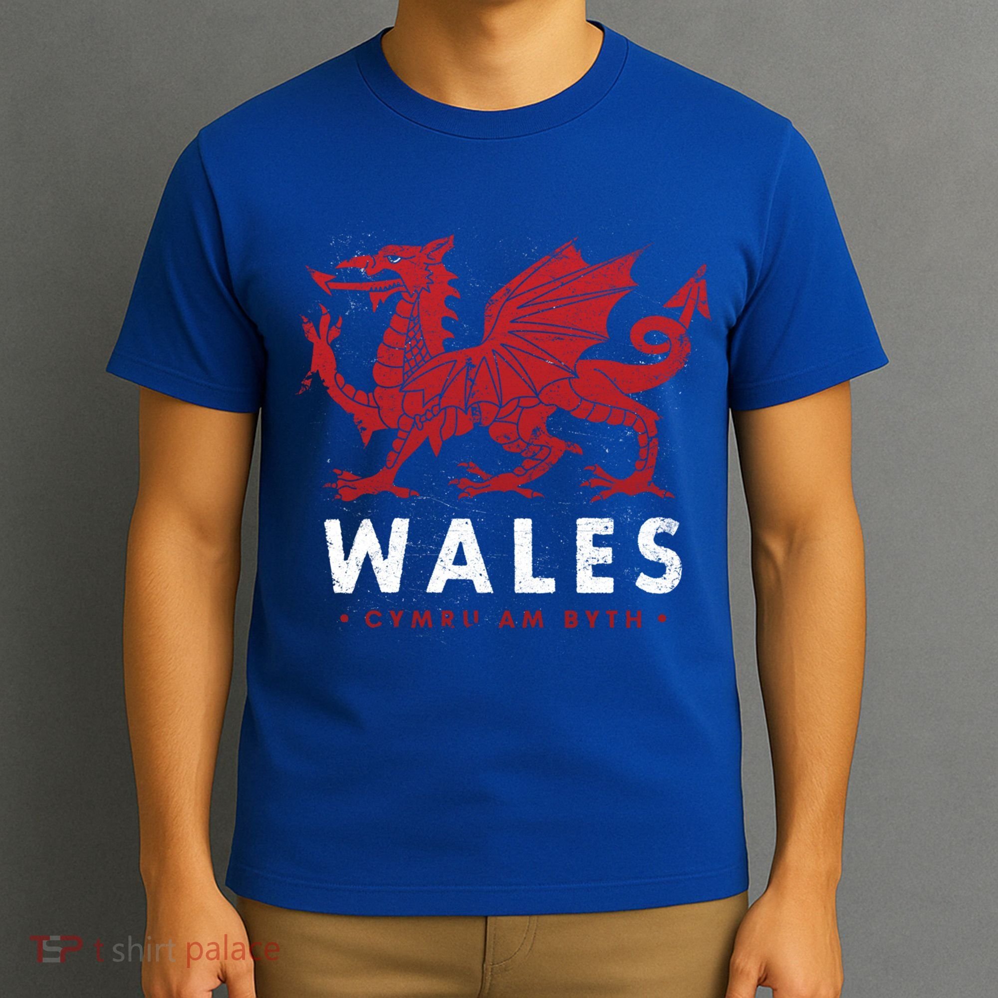 Wales Flag Welsh Dragon Baner Cymru Am Byth Welsh Gift T-Shirt