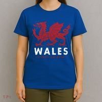 Wales Flag Welsh Dragon Baner Cymru Am Byth Welsh Gift T-Shirt thumb 4
