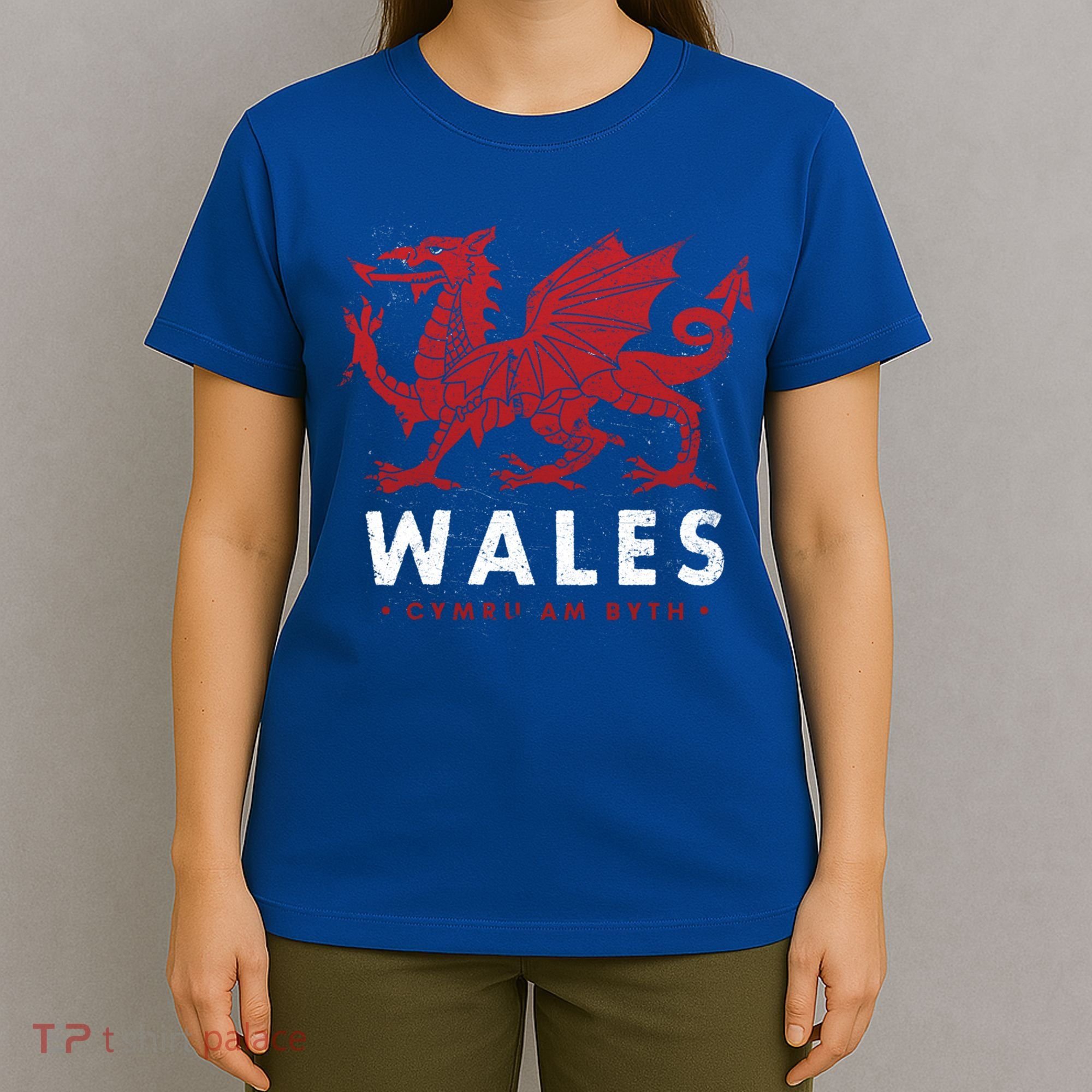 Wales Flag Welsh Dragon Baner Cymru Am Byth Welsh Gift T-Shirt