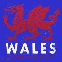 Wales Flag Welsh Dragon Baner Cymru Am Byth Welsh Gift Women's Tank Top thumb 5