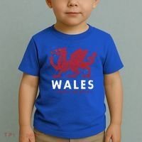 Wales Flag Welsh Dragon Baner Cymru Am Byth Welsh Gift Toddler T-Shirt thumb 2
