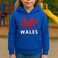 Wales Flag Welsh Dragon Baner Cymru Am Byth Welsh Gift Kids Hoodie thumb 3