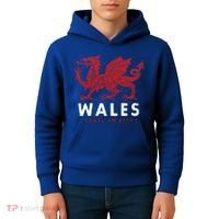 Wales Flag Welsh Dragon Baner Cymru Am Byth Welsh Gift Kids Hoodie thumb 4