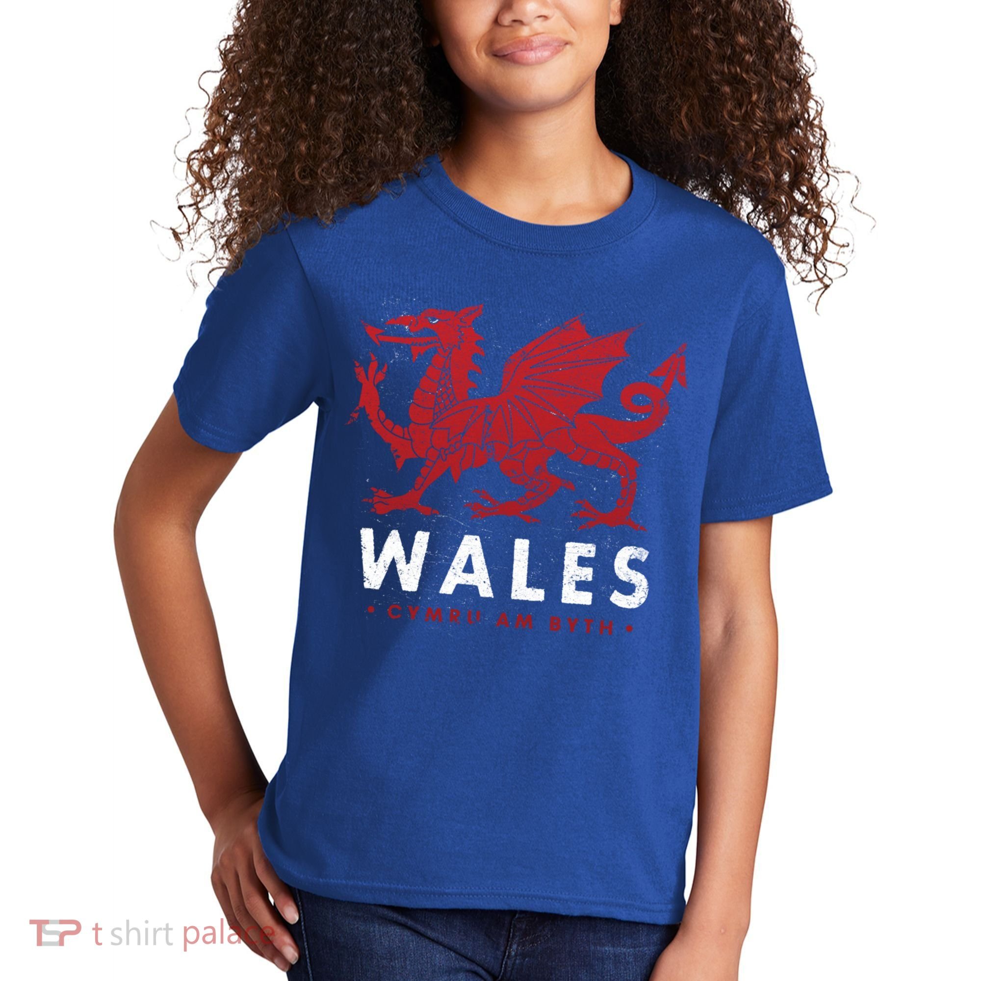 Wales Flag Welsh Dragon Baner Cymru Am Byth Welsh Gift Kids T-Shirt