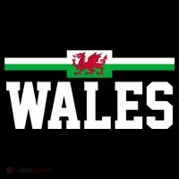 Wales Flag Welsh Cool Gift Doggie Tank thumb 4