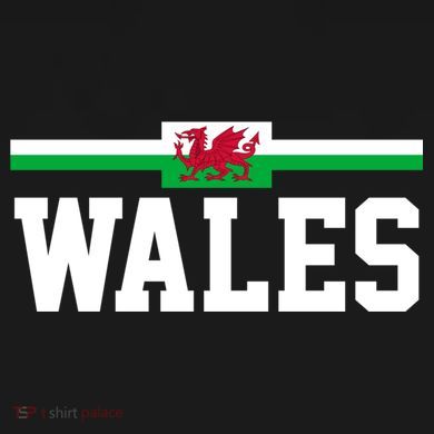 Wales Flag Welsh Cool Gift Performance Fleece Hoodie