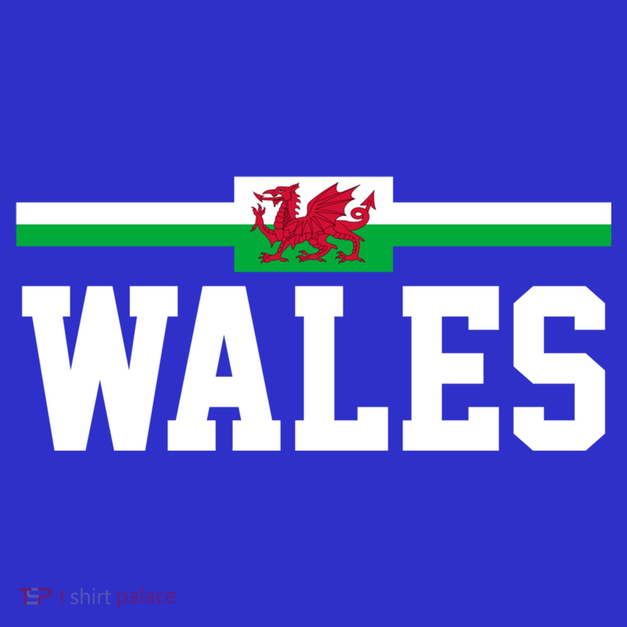 Wales Flag Welsh Cool Gift Kids Hoodie