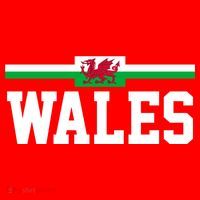 Wales Flag Welsh Cool Gift Santa Hat thumb 1