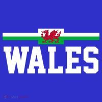 Wales Flag Welsh Gift Button thumb 1
