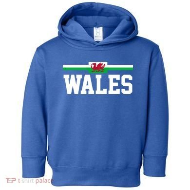 Wales Flag Welsh Gift Toddler Hoodie