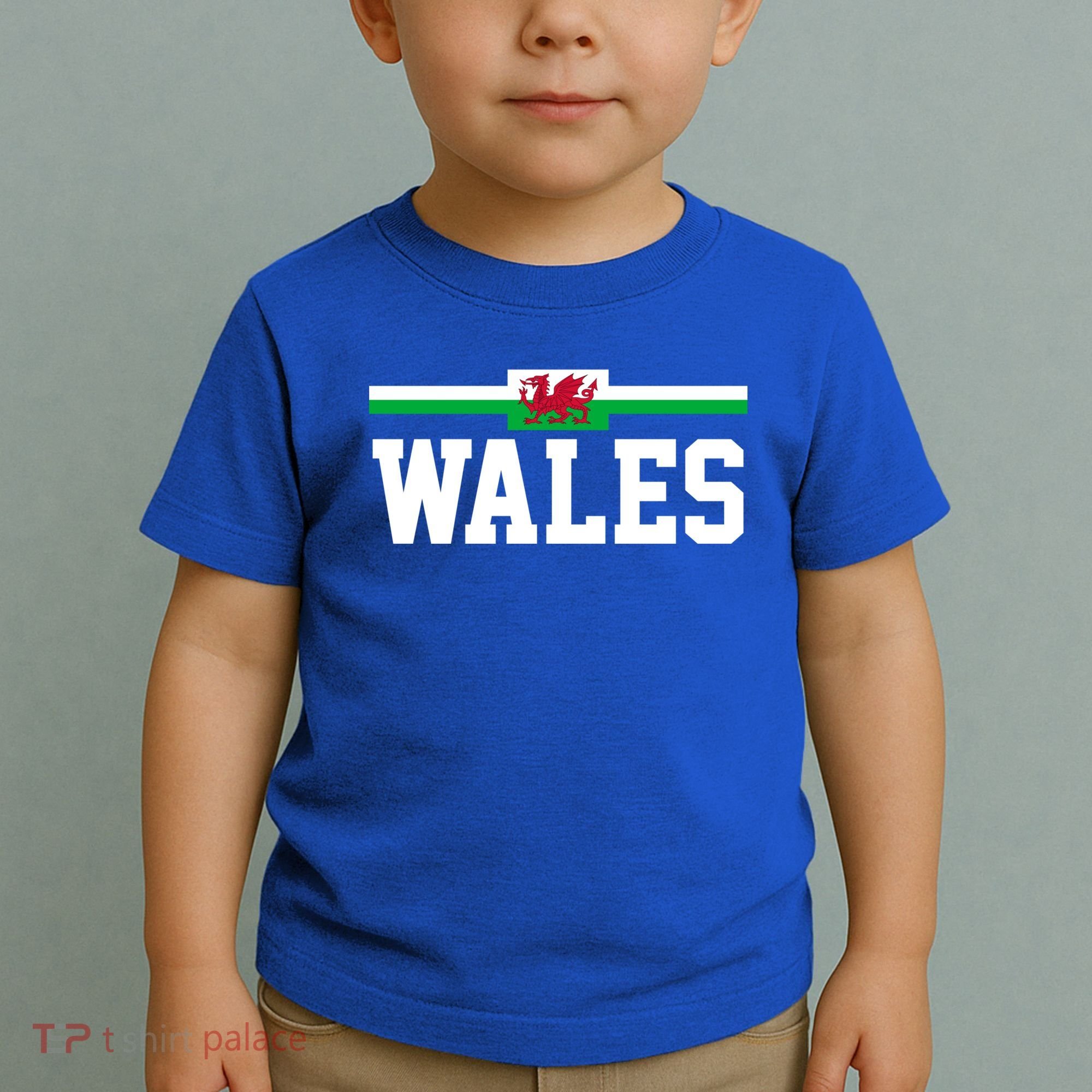 Wales Flag Welsh Gift Toddler T-Shirt