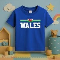 Wales Flag Welsh Gift Toddler T-Shirt thumb 3