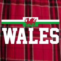 Wales Flag Welsh Gift Men's Flannel Plaid Pajama Pants thumb 2